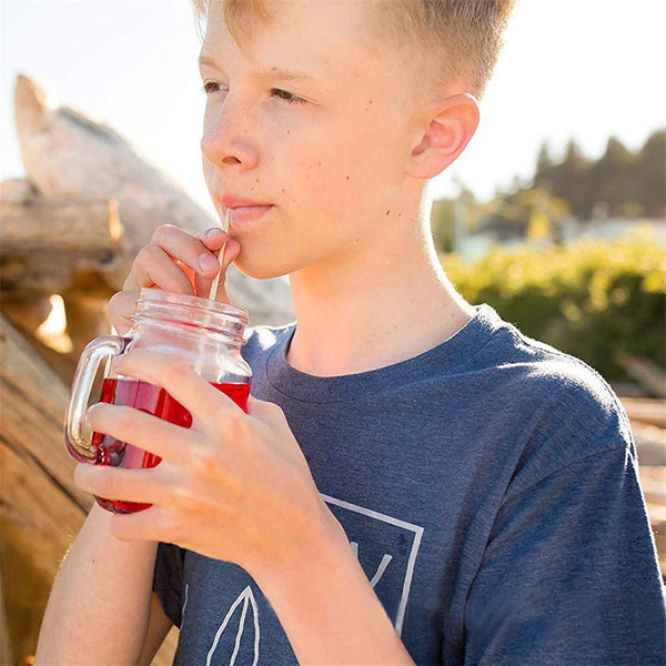 Natural Wheat Straw 100% biodegradable Straws (100 Pcs)